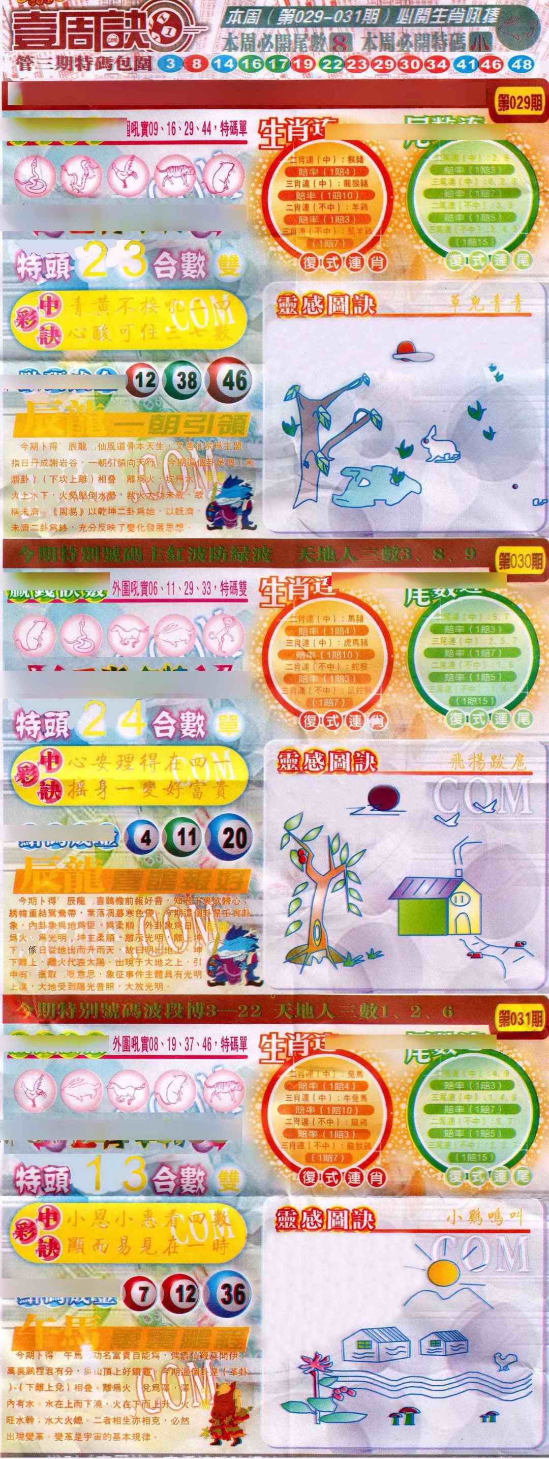 031期一周决[图]